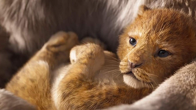 image de la news Fréquentation cinéma 2019 : 213 millions de spectateurs pour l'une des meilleures années depuis 50 ans