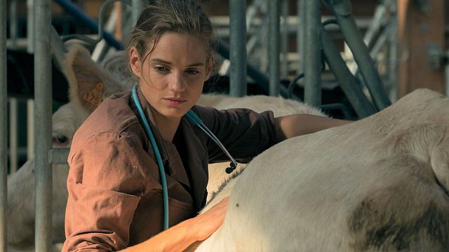 image de la news Les Vétos, Paris est à nous... qui est la pétillante Noémie Schmidt ?