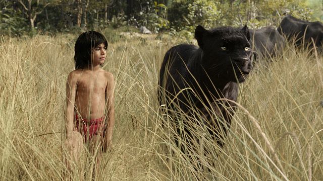 image de la news Disney Plus : La Belle et le Clochard, Le Livre de la jungle... 9 remakes live à voir pendant le confinement