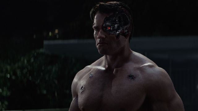 Terminator : que vont devenir les suites à Genysis ?