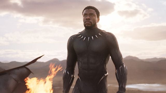image de la news Black Panther sur TF1 : des comics au film... Comment est né le super-héros incarné par le regretté Chadwick Boseman