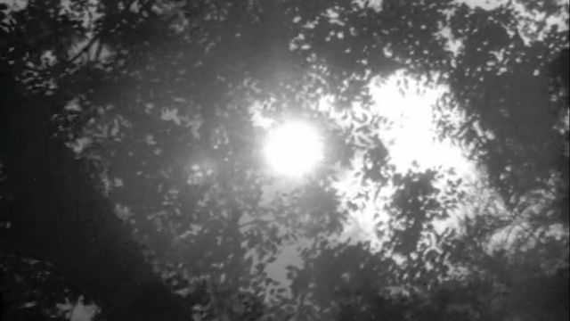 image de la news Au fait... A quand remonte la 1ère fois où une caméra a osé filmer directement le soleil ?
