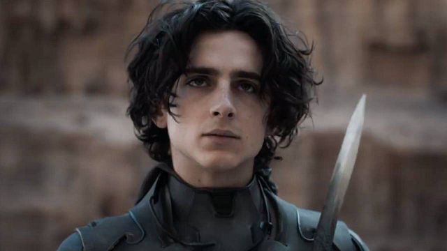 image de la news Charlie et la chocolaterie : Tom Holland ou Timothée Chalamet héros du prequel sur Willy Wonka ?
