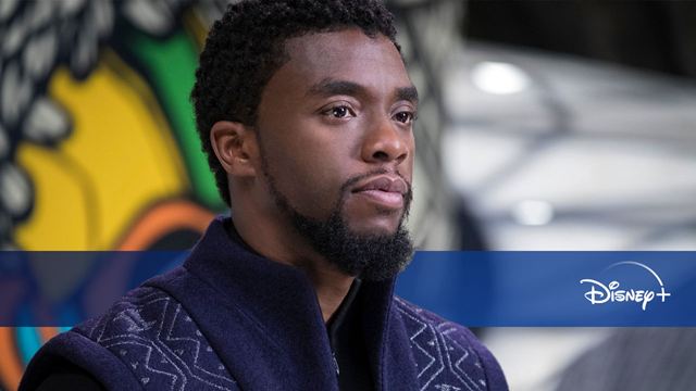 Nouveautés Disney+ du 19 au 25 février : Black Panther et le lancement de Star avec Love Victor et Big Sky