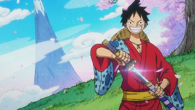 One Piece Saison 1 Adn