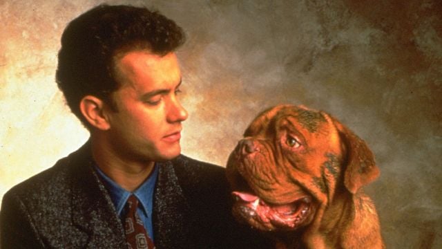 image de la news Turner et Hooch sur Disney+ : star du film des années 80, Tom Hanks apparaît-il dans la série ?