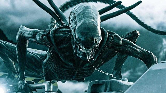 image de la news Alien : le vrai rôle des xénomorphes enfin dévoilé