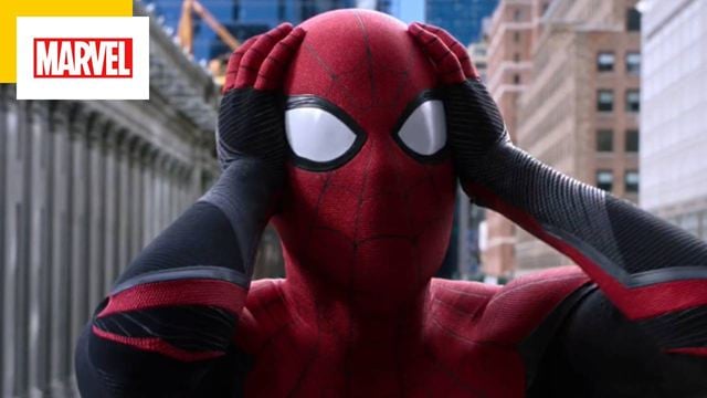 Spider-Man No Way Home : après Les Eternels, une nouvelle référence à DC Comics dans un film Marvel