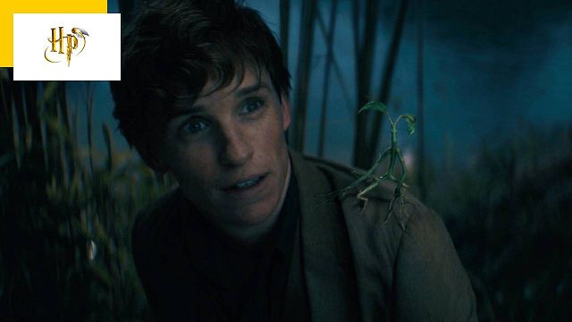 image de la news Les Animaux fantastiques 3 : posez vos questions à Eddie Redmayne et Mads Mikkelsen !