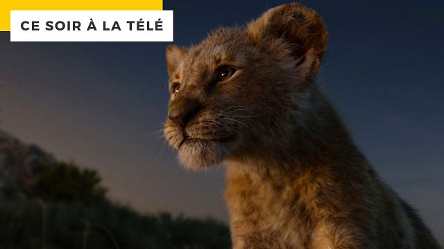 image de la news Le Roi Lion : saurez-vous retrouver le seul plan live du film ?