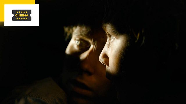 image de la news Coeurs vaillants : une histoire vraie à l'origine de ce film avec Camille Cottin ?