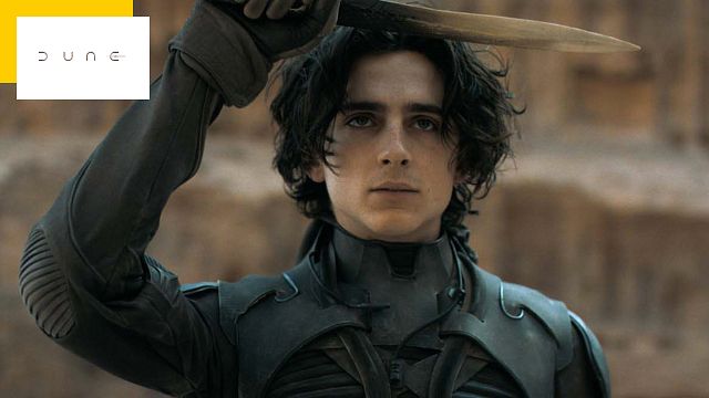 image de la news Dune 2 : une première photo et un synopsis pour la suite avec Timothée Chalamet et Zendaya