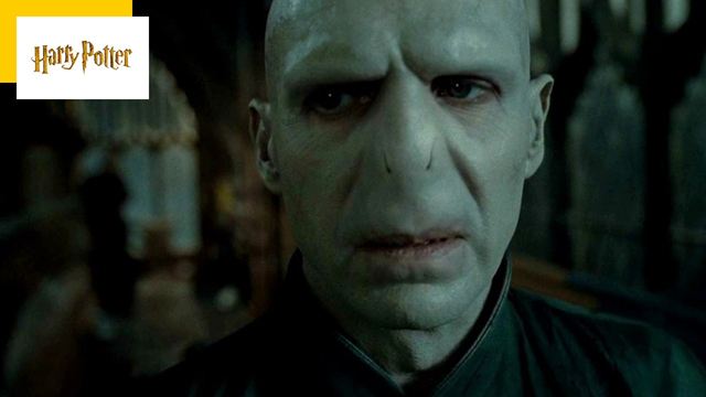Harry Potter : Voldemort ressemble à ça selon les livres