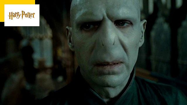 image de la news Harry Potter : Voldemort ressemble à ça selon les livres