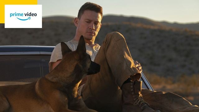 Sur Prime Video du 22 au 28 juillet : la toute première réalisation de Channing Tatum et un alligator tueur