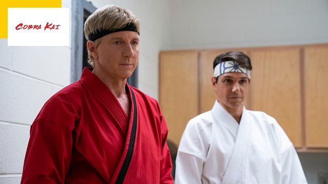 image de la news Cobra Kai sur Netflix : Johnny et Daniel ont un compte à régler avec Silver dans la bande-annonce de la saison 5