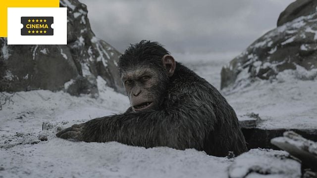 image de la news La Planète des singes 4 : une photo et un titre officiel pour le nouveau film de la saga