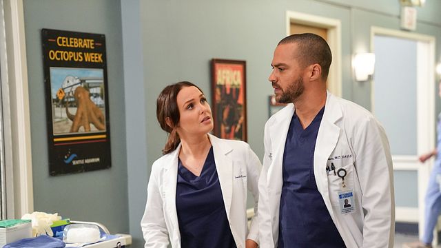 Grey's Anatomy Saison 16 Guide Des épisodes Grey's Anatomy épisode 14 saison 16 : Jeu de piste - AlloCiné