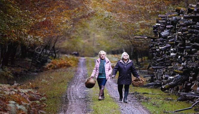 Photo du film Quand vient l'automne