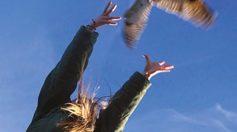 Photo du film Animus Femina