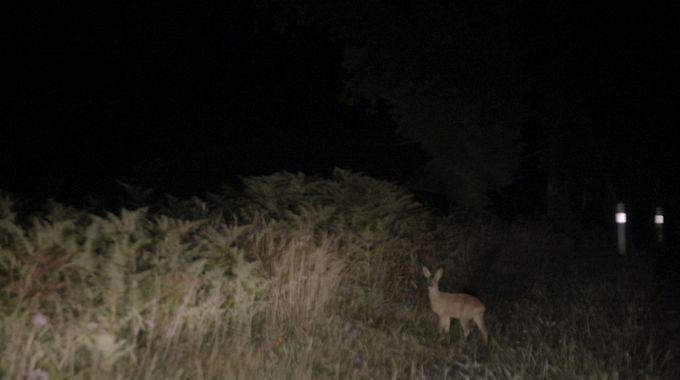 Photo du film Un pays en flammes
