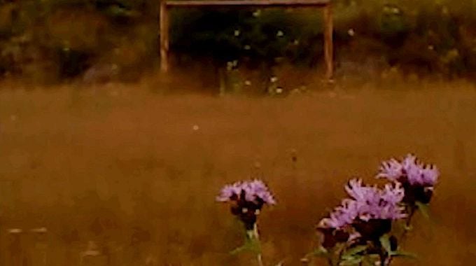 Photo du film Dry Leaf