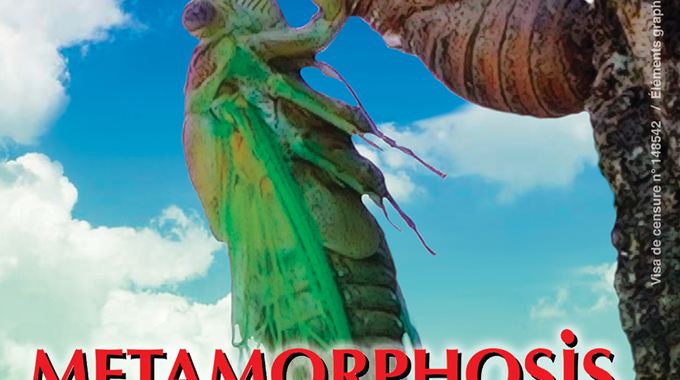 Photo du film Metamorphosis, la lutte pour la vie