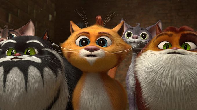 Photo du film Les Chats au musée