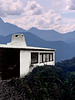 poster de Elizabeth Bishop : From Brazil with Love