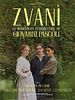 poster de Zvani - Il Romanzo Famigliare Di Giovanni Pascoli