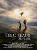 poster de Les Oiseaux de Pluie