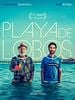 poster de Playa de lobos