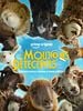 poster de Les Moutons Détectives