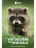 image de 