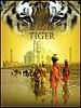poster de L'Inde, royaume du tigre