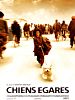poster de Chiens égarés