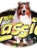 poster de Lassie (1997)
