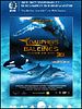 poster de Dauphins et baleines 3D, nomades des mers