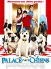 poster de Palace pour chiens