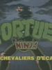 poster de Tortues Ninja: Les chevaliers d'écaille