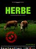 poster de Herbe