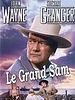 poster de Le Grand Sam