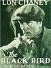 poster de L'Oiseau noir
