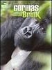poster de Saving a Species : Gorillas on the Brink