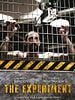 poster de The Experiment