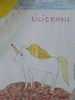 poster de Lilicorne