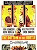 poster de Le Fond de la bouteille
