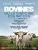 poster de Bovines