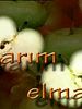 poster de Yarım Elma