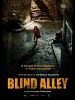 poster de Blind Alley
